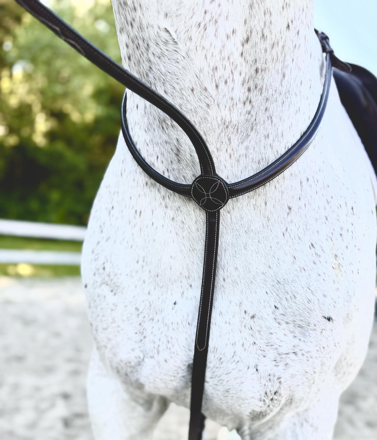 Martingale Allemande KL Select – Sécurité Et élégance Pour Chevaux