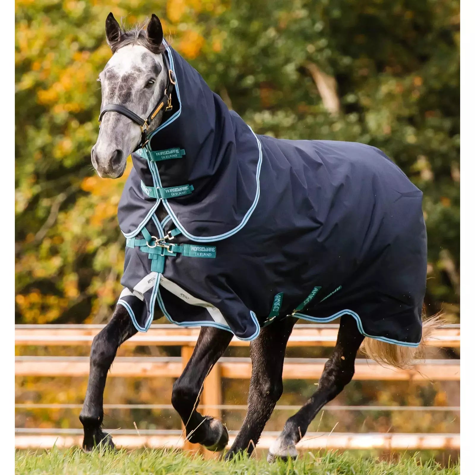 Pferdedecke Amigo Bravo 12 Plus Bundle - Wasserdicht & Atmungsaktiv