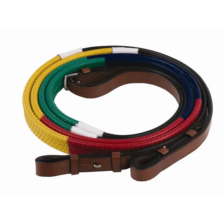 Henri De Rivel Advantage Rainbow Training Reins