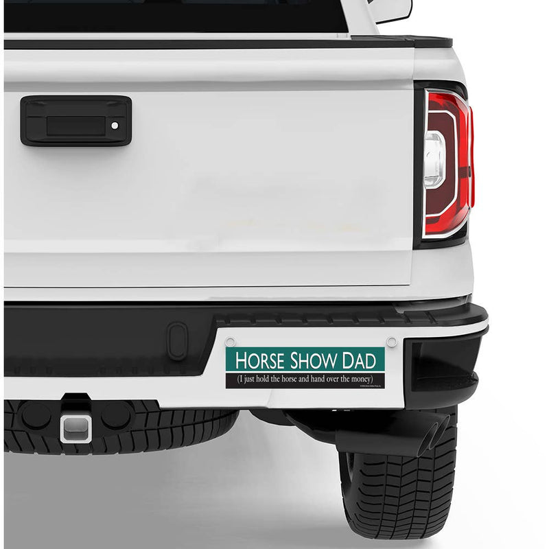 Horse Bumper Sticker / Horse Show Dad: I Just Hold / Funny