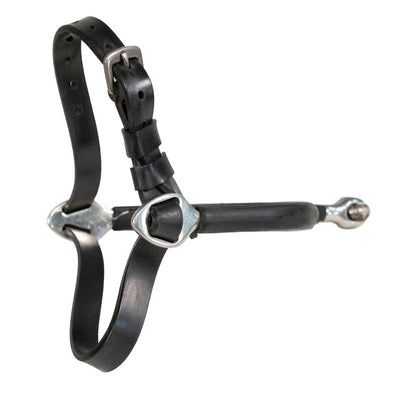 Nunn  Finer Easiest Spur Strap Yet