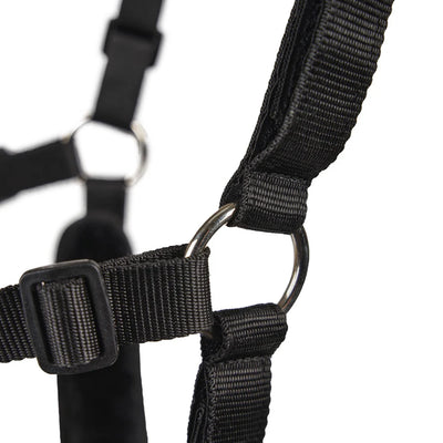 Shires FreeGraze Airflow Grazing Muzzle