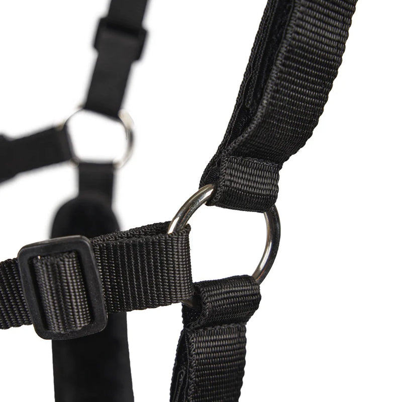 Shires FreeGraze Airflow Grazing Muzzle