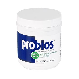 Probios Multi-Species Dispersible Powder