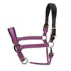 ARMA Premium Nylon Halter with Leather Padding