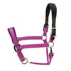 ARMA Premium Nylon Halter with Leather Padding