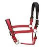 ARMA Premium Nylon Halter with Leather Padding