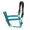 ARMA Premium Nylon Halter with Leather Padding