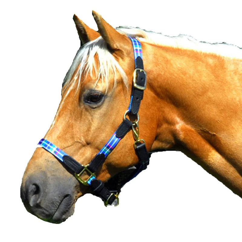 Intrepid Highland Halter
