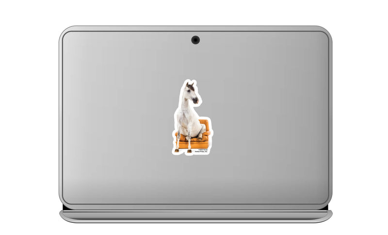 3" Tumbler Horse Sticker / Horse Seated Chair / WATERPROOF