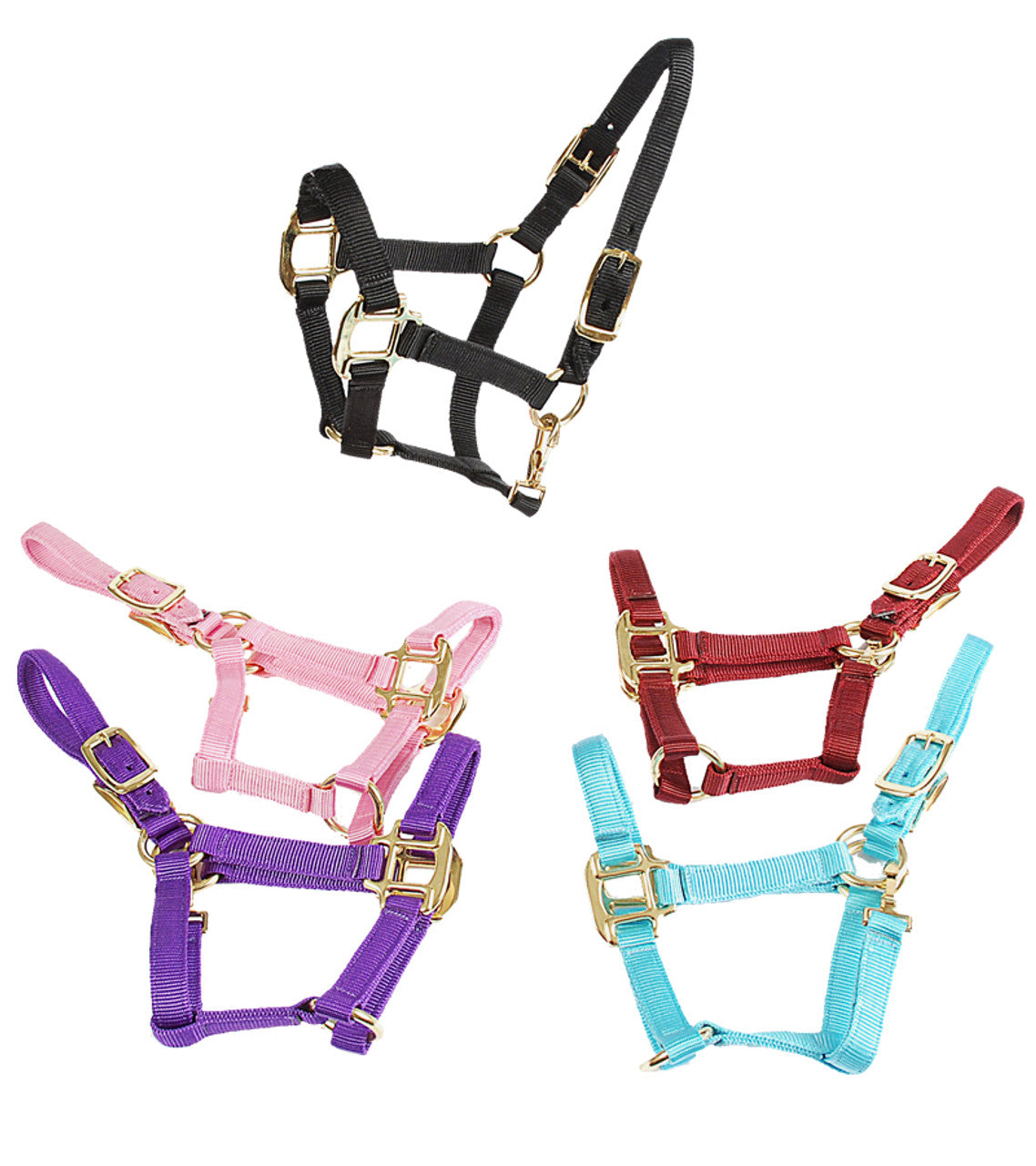 Jack's Deluxe Mini Halter – Equine Essentials