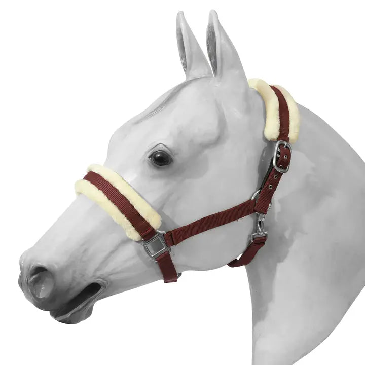 Henri De Rivel Sherpa Fleece Halter with Leather Breakaway