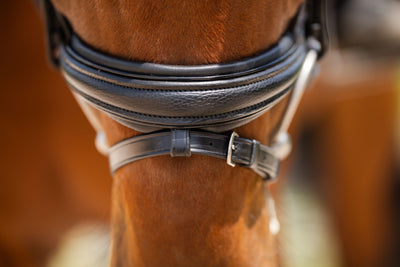 Red Barn Olympian Dressage Bridle
