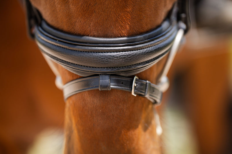 Red Barn Olympian Dressage Bridle