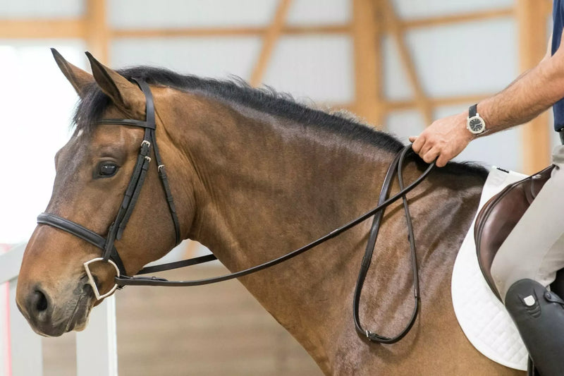 Thinline Lined Reins