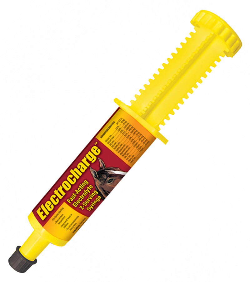 Finish Line ElectroCharge 60ml
