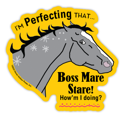3" Tumbler Horse Sticker / Boss Mare Stare / WATERPROOF