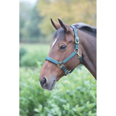 Shires Arma "Topaz" Comfort Nylon Halter