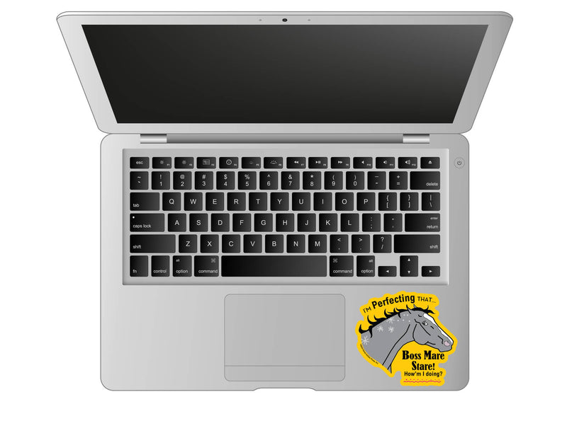 3" Tumbler Horse Sticker / Boss Mare Stare / WATERPROOF