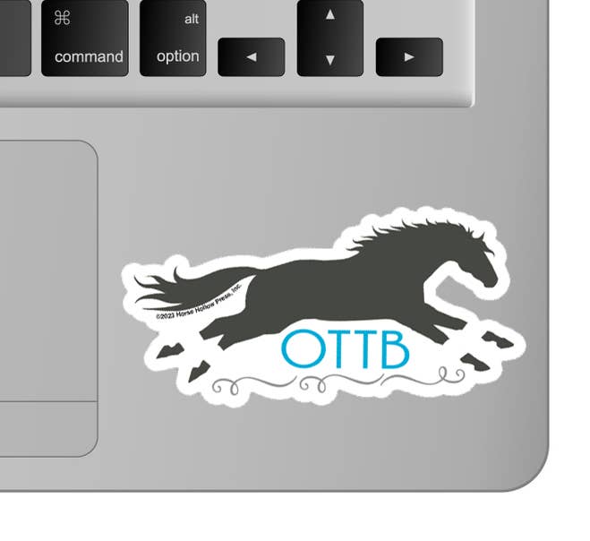 3" Tumbler Horse Sticker / OTTB Thoroughbred / WATERPROOF