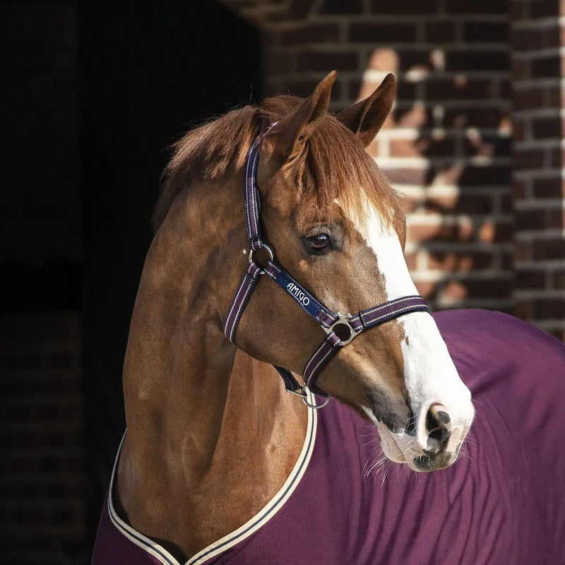 Horseware Amigo Halter - Fig/Navy/Tan - Pony