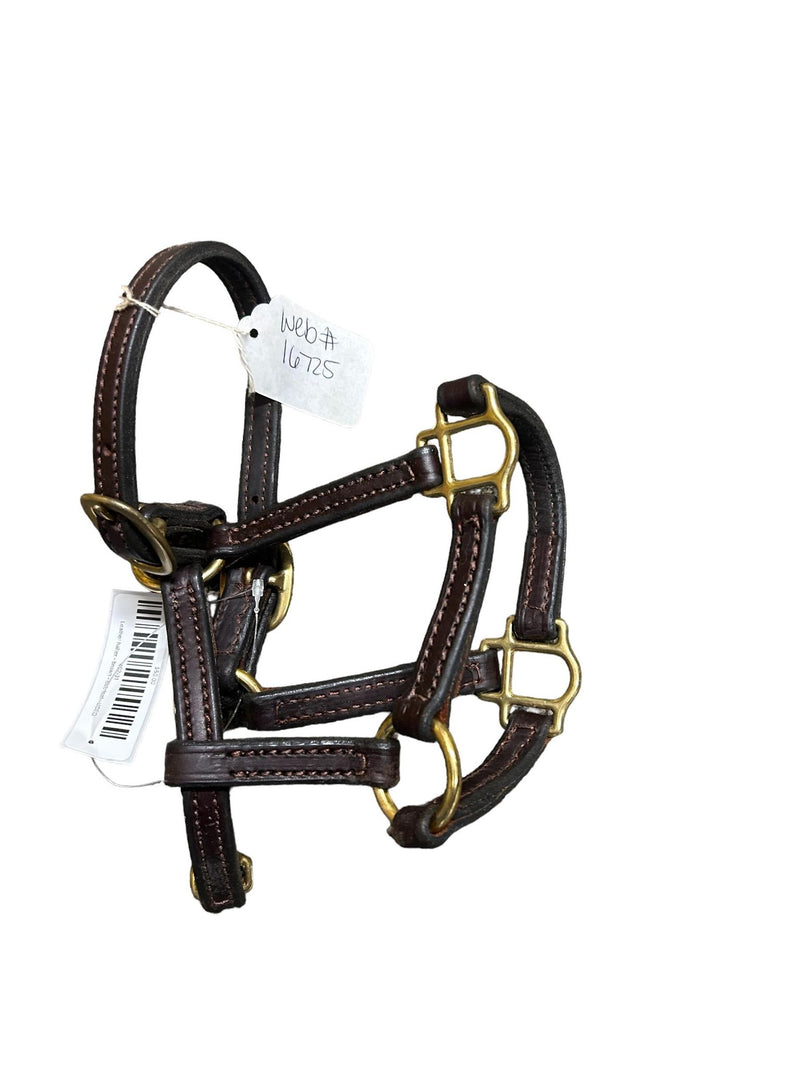 Leather Halter - Brown - Est. Foal/Mini Size - USED