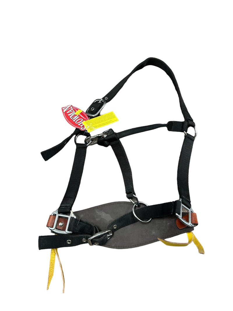 Showman Sunflower Halter - Est. F - USED
