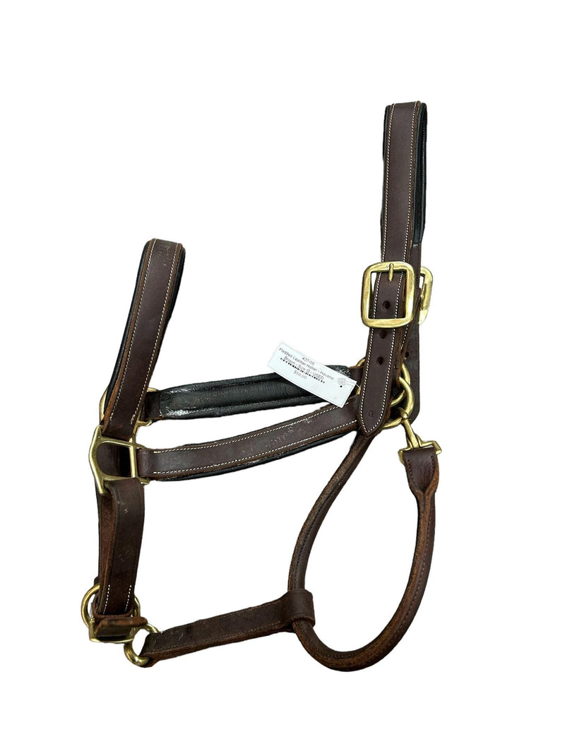 Padded Leather Halter - Havana Brown - Size Q - USED