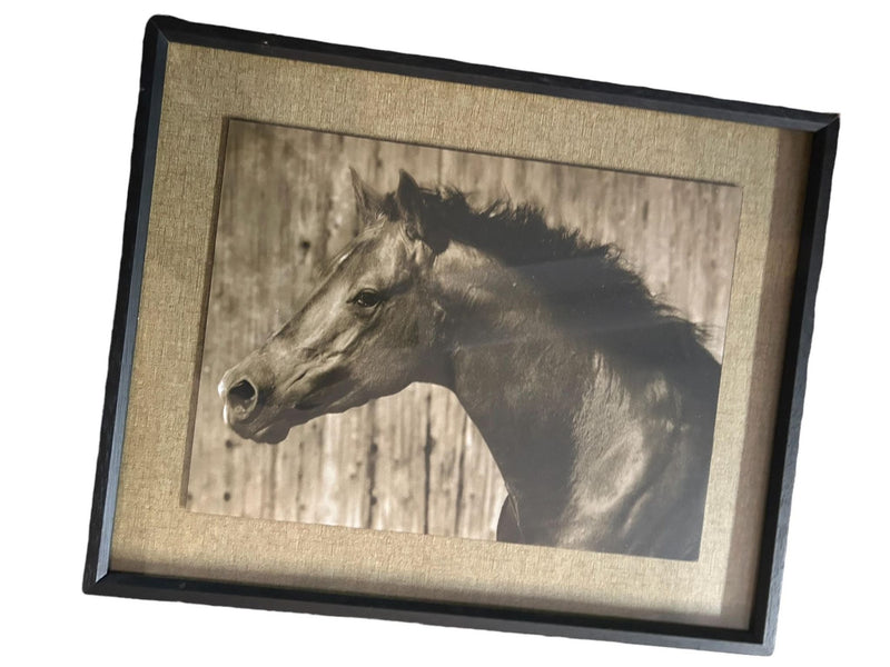 Set of 2 Horse Pictures