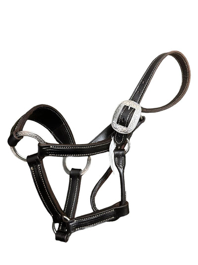 Weaver Bronc Halter -Dark Brown FS - USED