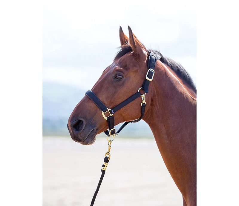 Shires Arma "Topaz" Comfort Nylon Halter