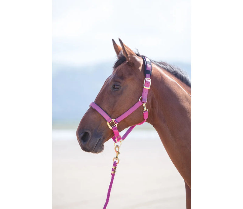 Shires Topaz Halter Raspberry