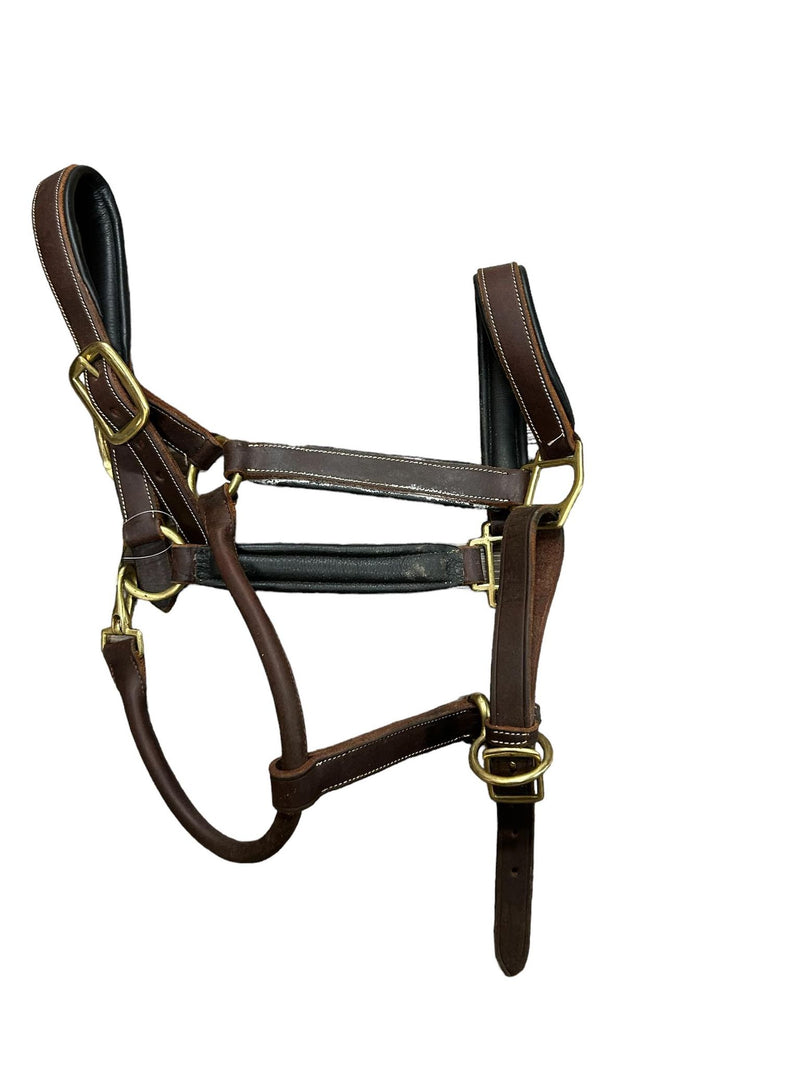 Padded Leather Halter - Havana Brown - Size Q - USED