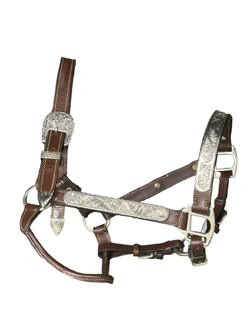 Western Show Halter - Brown/Metal - Est. F - USED