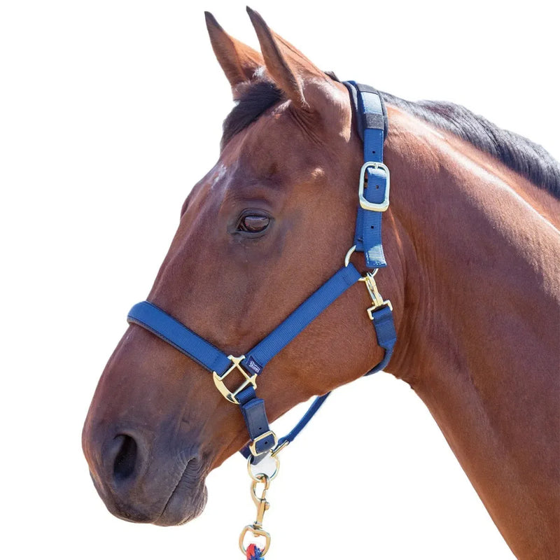 Shires Arma "Topaz" Comfort Nylon Halter