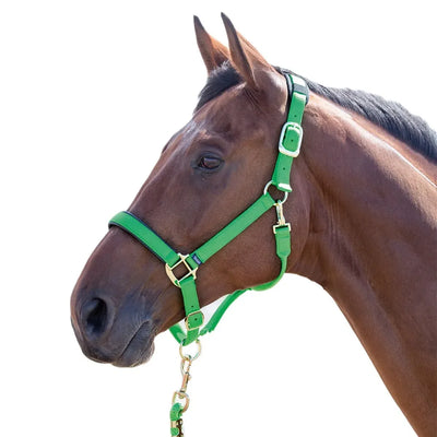 Shires Arma "Topaz" Comfort Nylon Halter