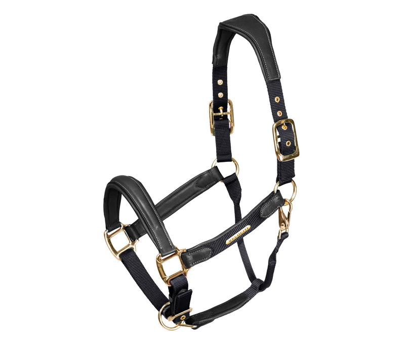 Shires Velociti Lusso Padded Leather Headcollar