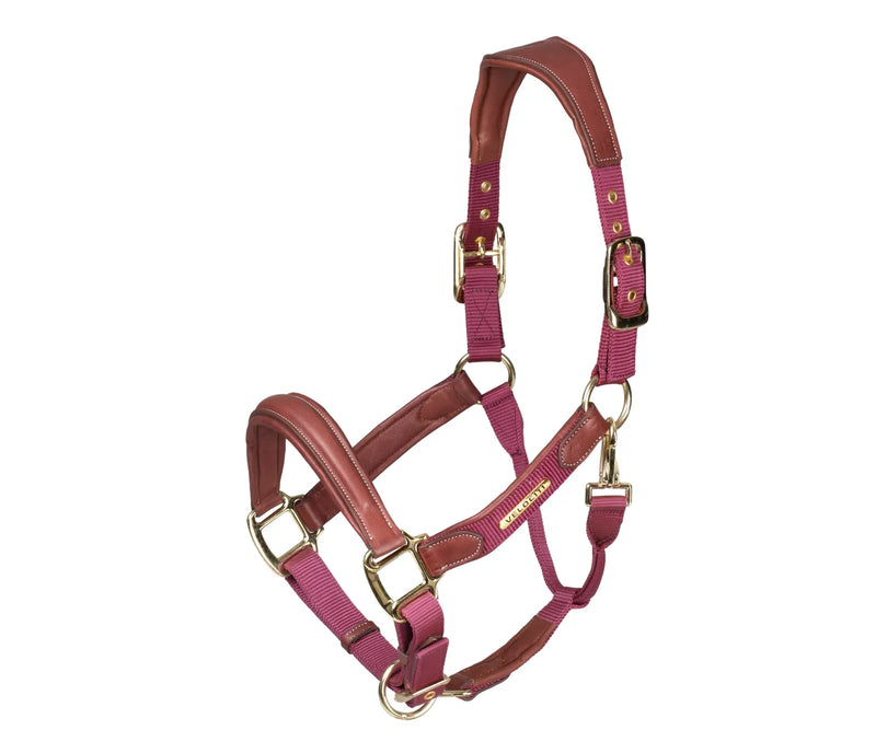 Shires Velociti Lusso Padded Leather Headcollar