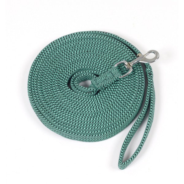 Centaur Web Lunge Line - Aqua/Grey