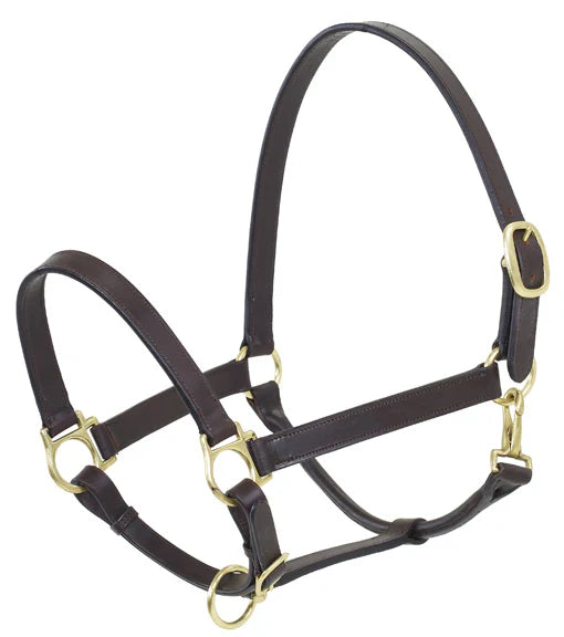 Camelot Stable Halter