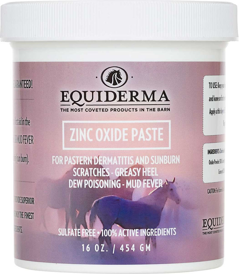 Equiderma Zinc Oxide Paste - 16 oz