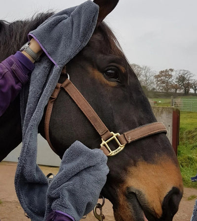 Equine Microfiber Glove Towel