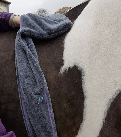 Equine Microfiber Glove Towel