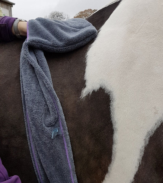Equine Microfiber Glove Towel