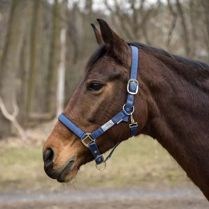 Lettia Equifine Halter