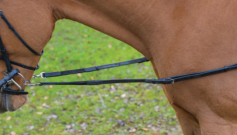 Shires Avignon Side Reins