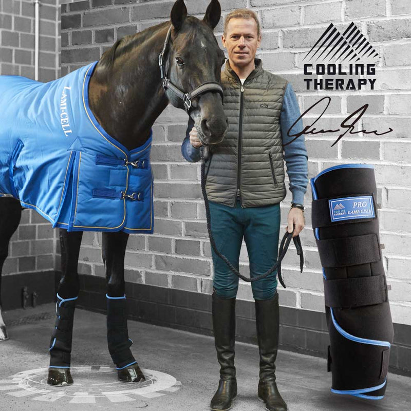Lami-Cell Therapeutic Ice Boots