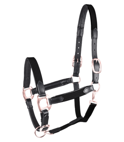 Waldhausen Star Mix Halter