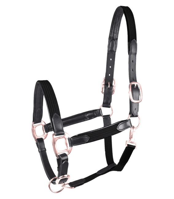 Waldhausen Star Mix Halter