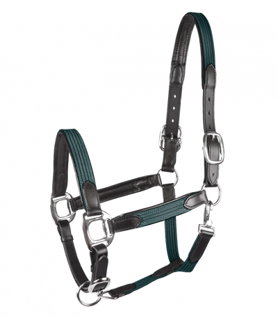 Waldhausen Star Mix Halter